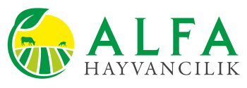büyükbaş hayvan işletmesi / Alfa Hayvancılık